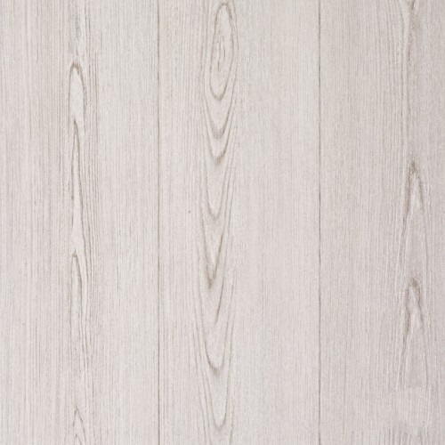 VENETIAN CYPRESS
